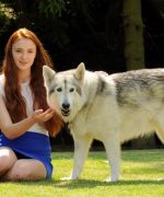 Filename=002.jpg
Filesize=295KiB
Dimensions=2048x1363
Date added=Nov 03, 2020 002.jpg